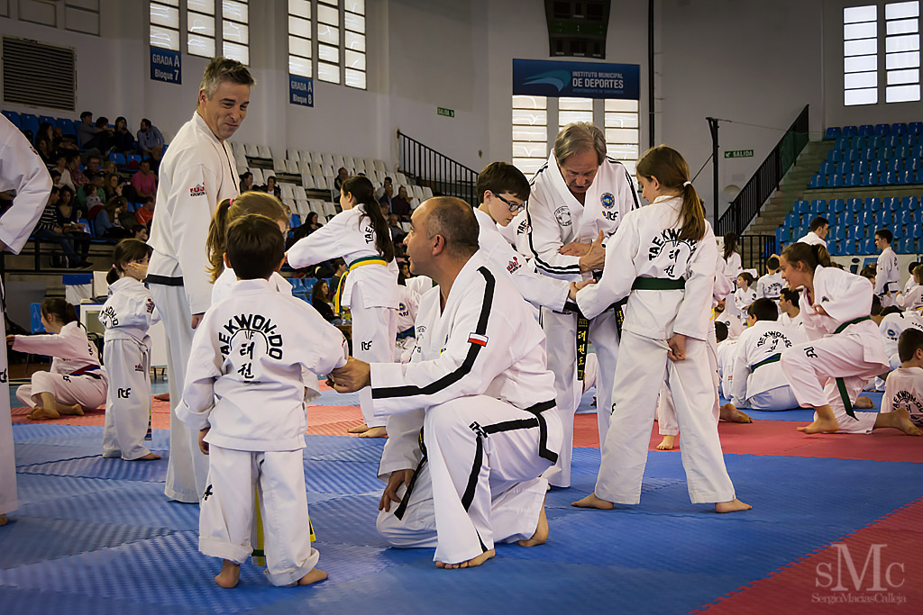 DIA DEL TAEKWONDO ABRIL 2017_3933.JPG